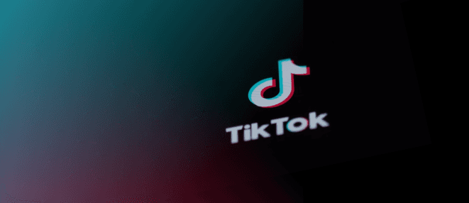 Kvinnekamp i litteraturen